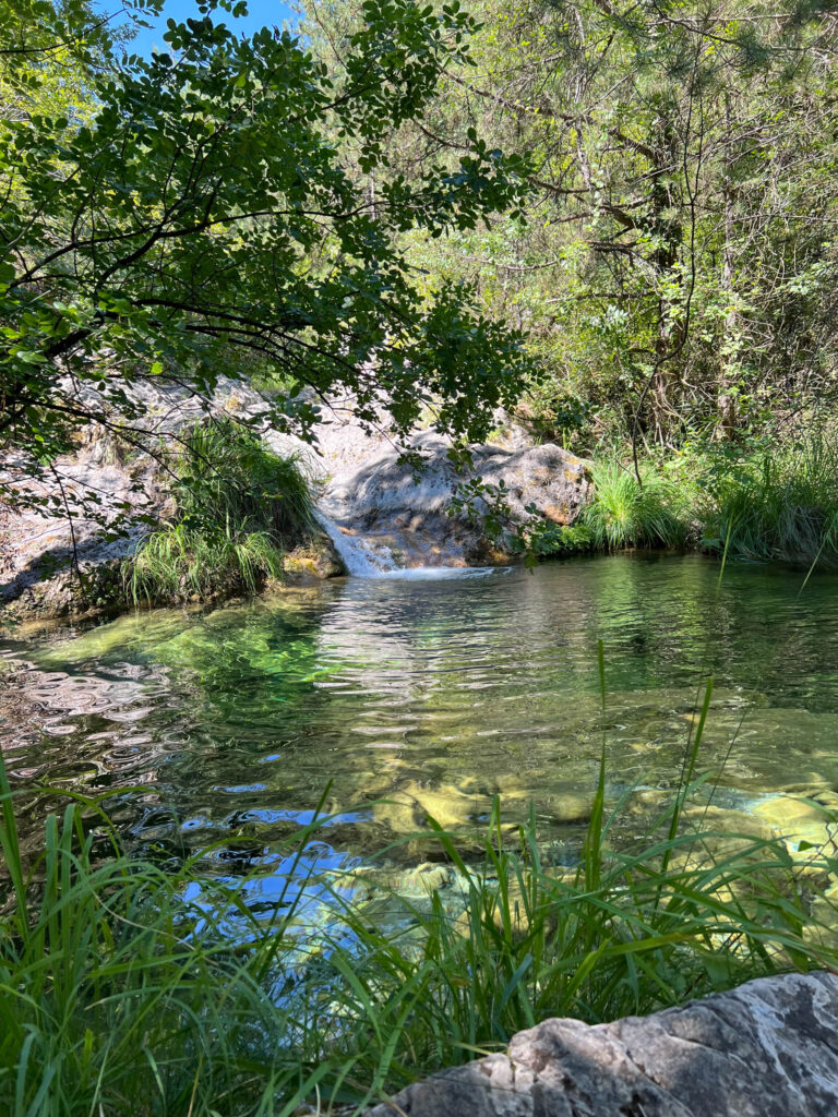 Agia Kori - 12
