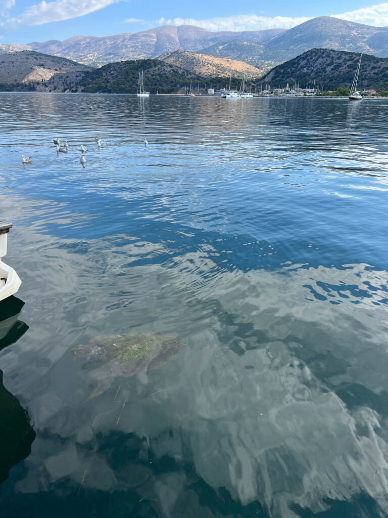 Argostoli - 5