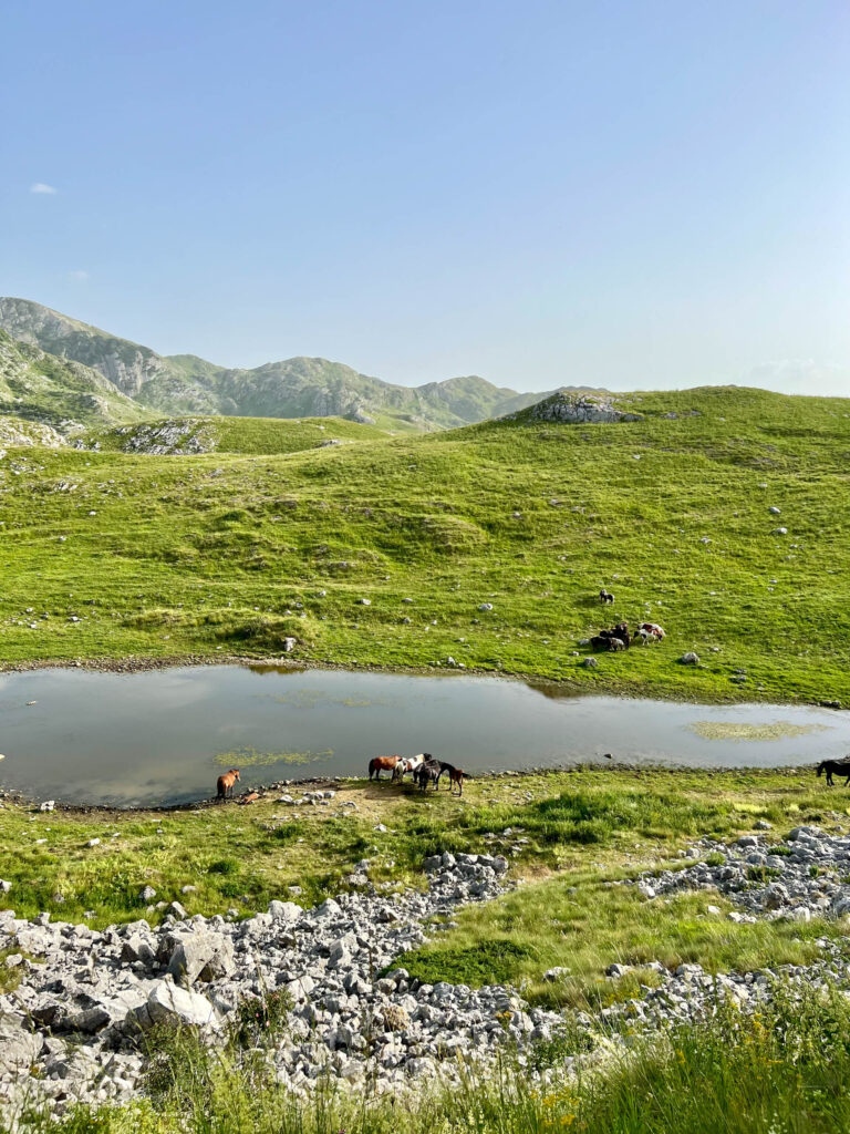 Durmitor Ring - 12