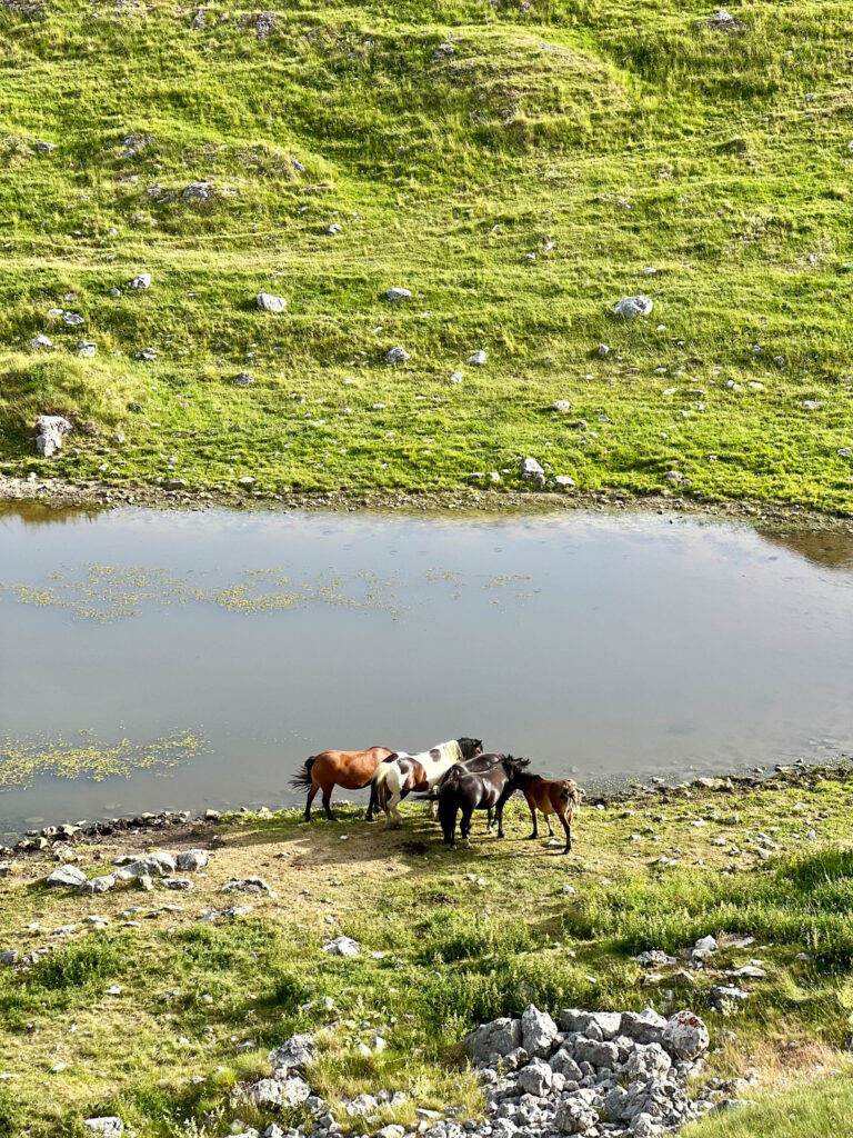 Durmitor Ring - 13