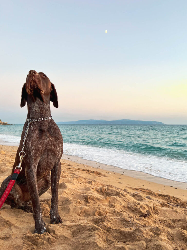 Koroni Beach - Camp 3 - 11