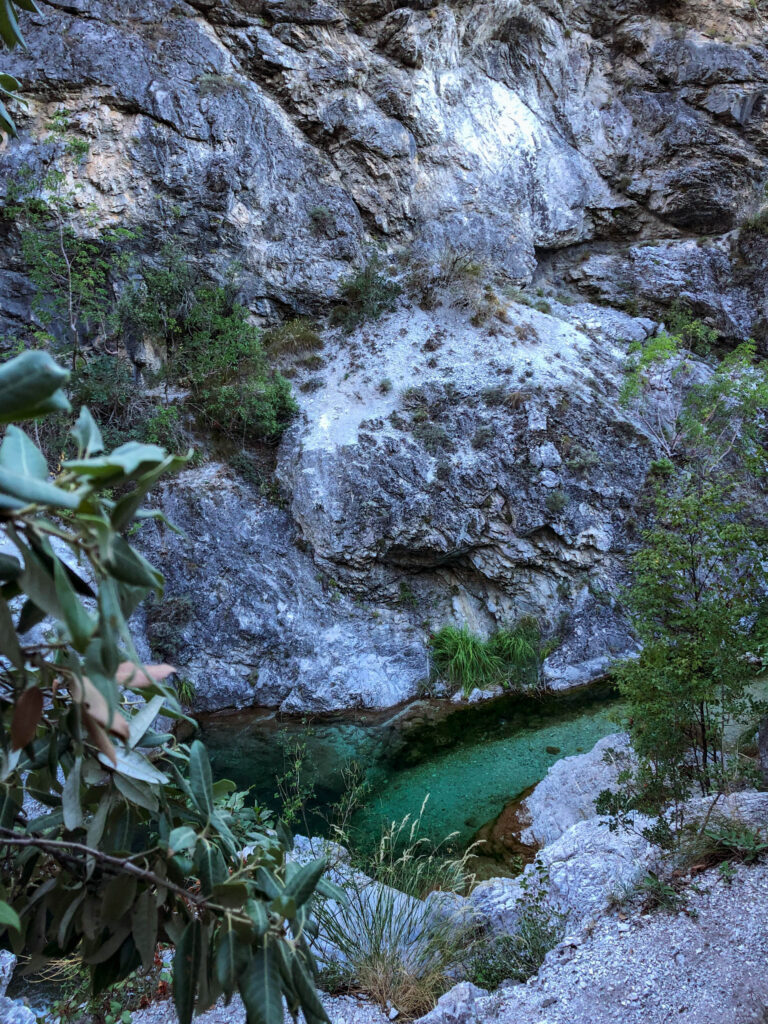 Orlias - 1