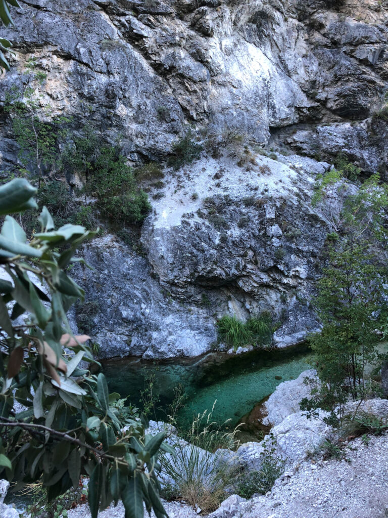 Orlias - 4