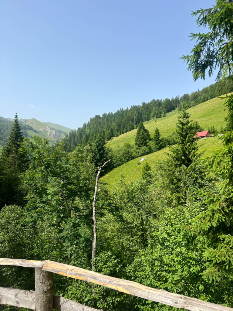 Rozaje-Kolasin - 2
