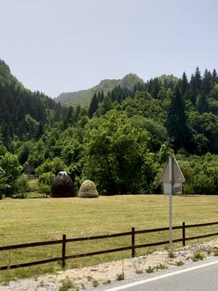 Rozaje-Kolasin - 7