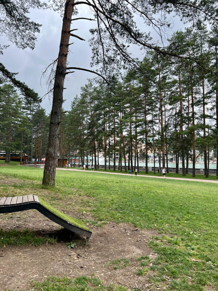 Visegrad-Zlatibor - 2