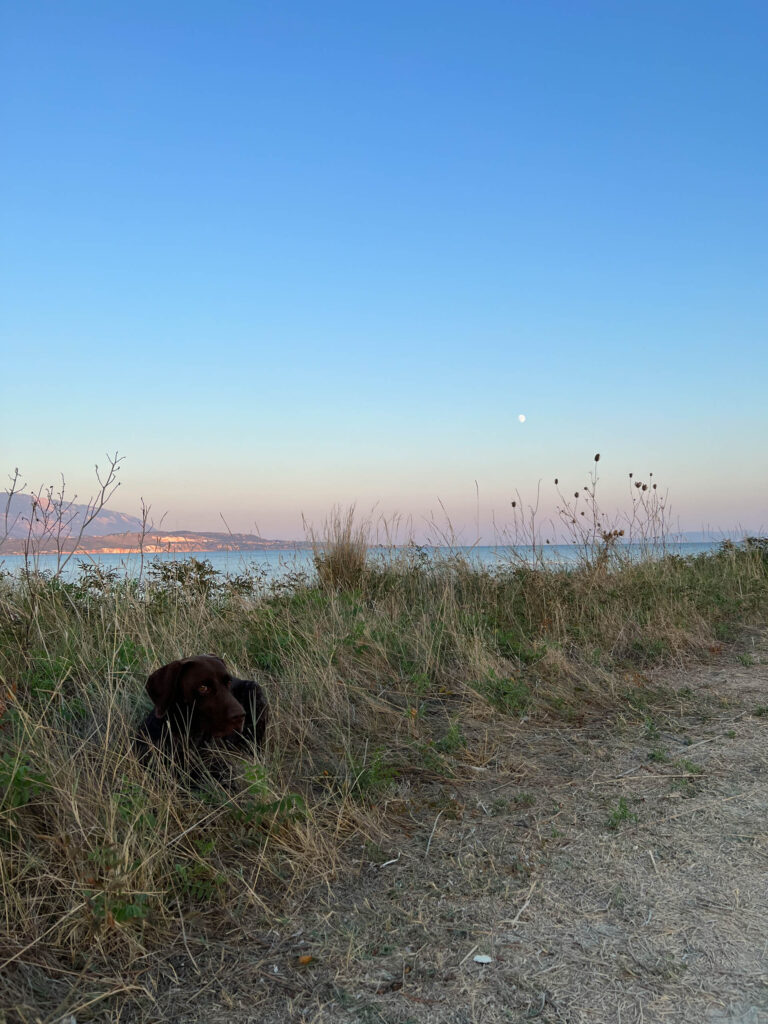 XI Beach - 4