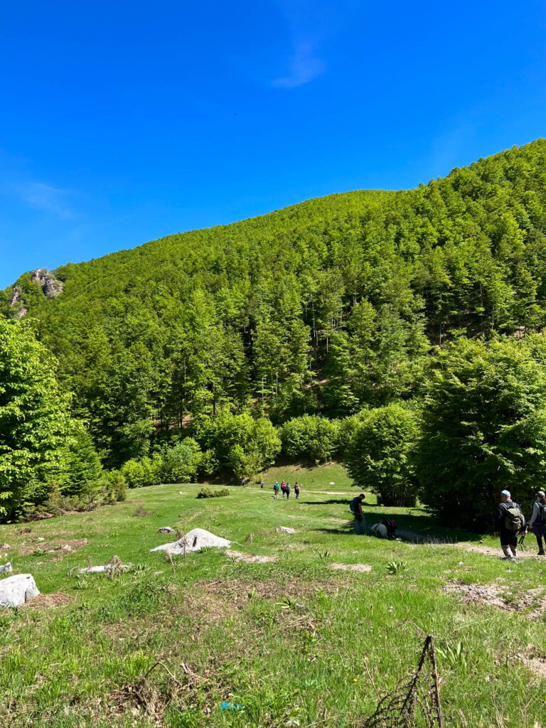 Почетен параграф - 10